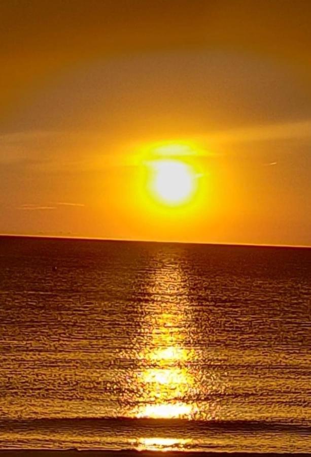 Apartamento Entero Primera Linea De Playa, Pet Friendly تافيرنيس دي فالدينيا المظهر الخارجي الصورة
